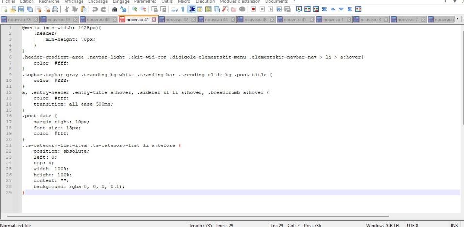 Visuel de notepad++