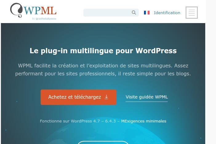 coup de coeur wpml