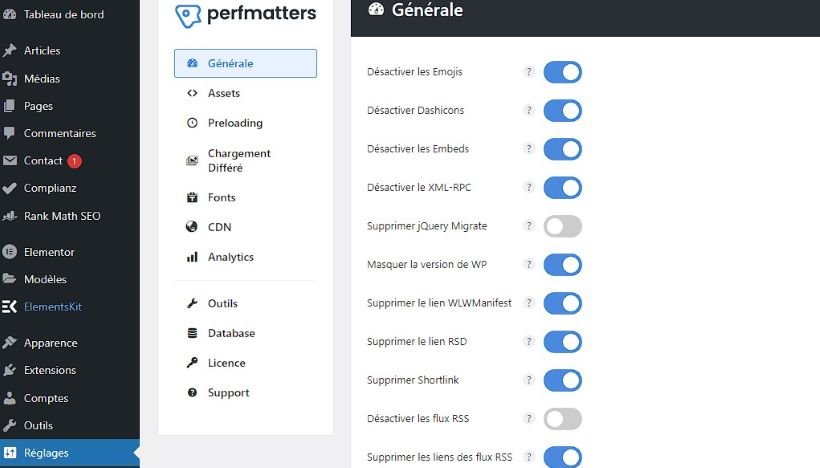 Perfmatters : optimise les performances de votre site Wordpress 2 visuel perfmatters 2024