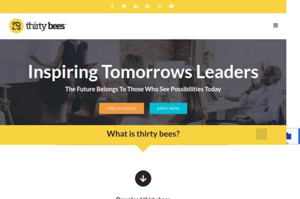site thirty bees, inspire les leaders de demain, l'avenir appartient à ceux qui voient les possibilités aujourd'hui