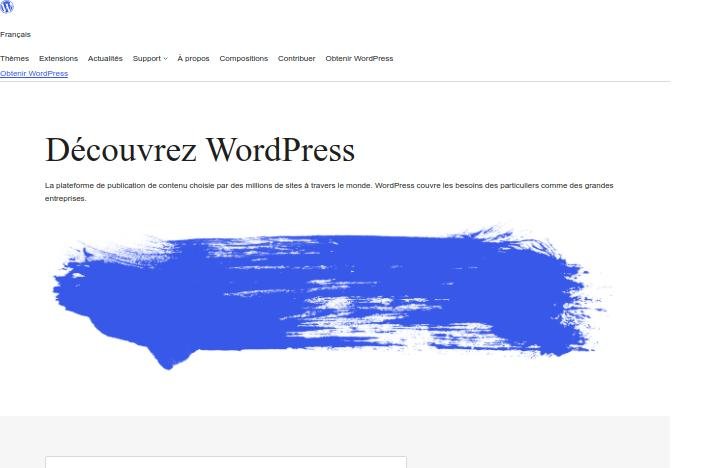 wordpress-2024