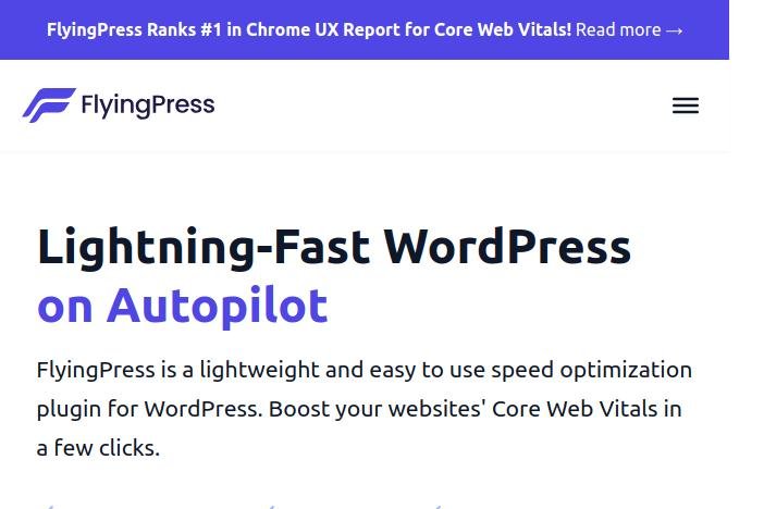 FlyingPress 2025
