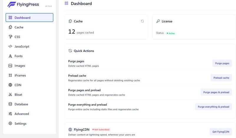 FlyingPress : Boostez la Vitesse de Votre Site WordPress 2 Visuel FlyingPress 2025