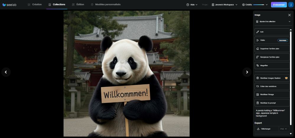 Seelab Ai Studio : Création De Visuels De Marque Avec L’ia 2 découvrez l'interface de la plateforme seelab ai studio basée à lannion en bretagne