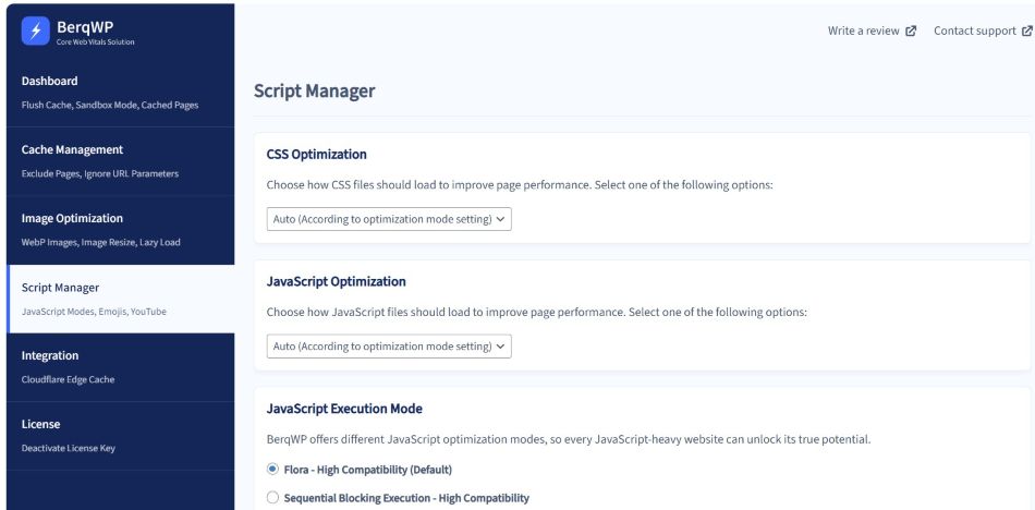 Optimize your WordPress with BerqWP: guaranteed performance 2 BerqWP user interface