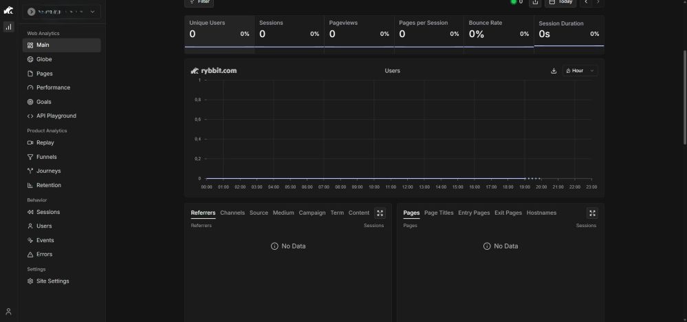 capture d'écran d'un tableau de bord d'analyse web affichant des données absentes