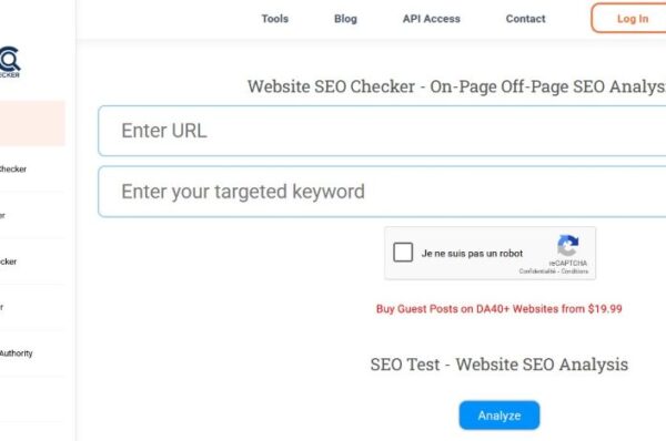 capture d'écran de l'outil de vérification seo
